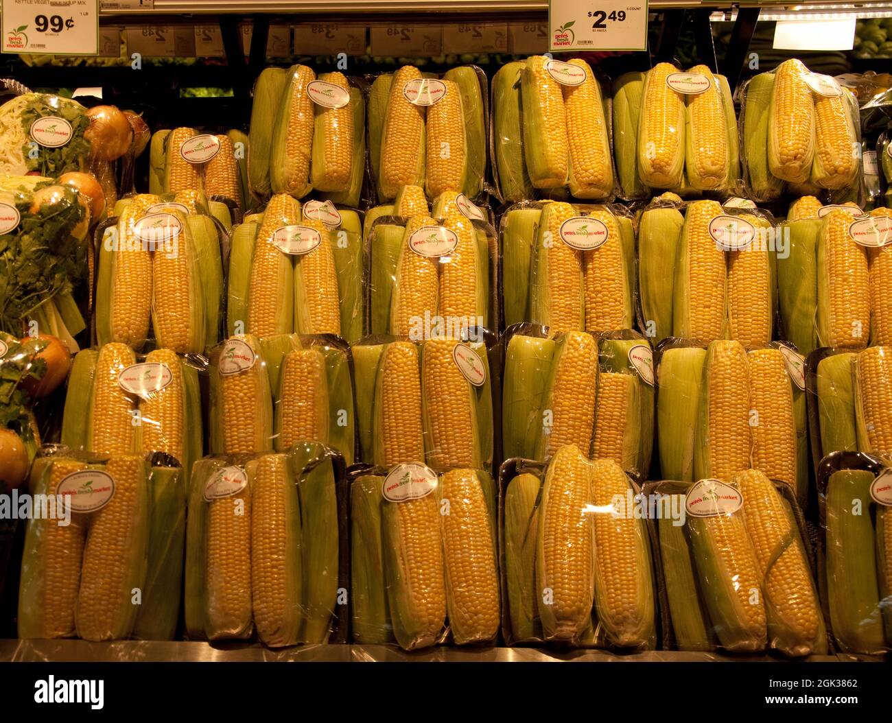 Pannocchie di mais, sezione frutta e verdura, supermercato, Chicago, Illinois, USA. Il Bounty dell'autunno. Foto Stock