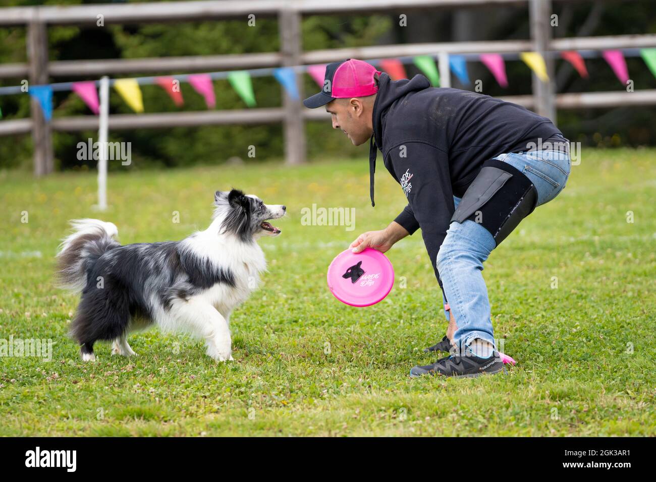 Disco Dog. Un animale domestico e il suo amico umano durante uno spettacolo di Frisbee Dog. Foto Stock