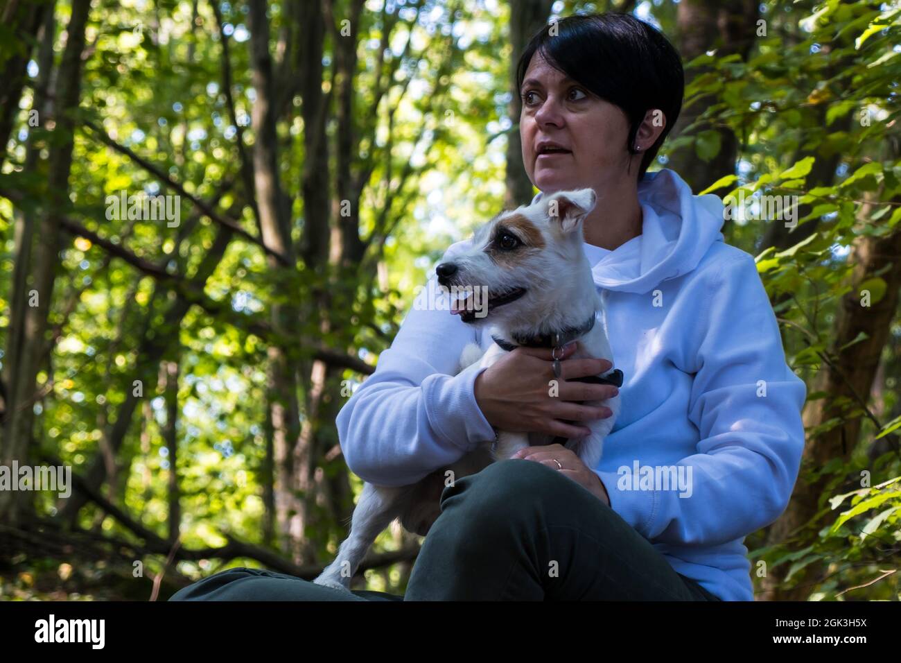 Giovane donna con Jack Russel Terrier nel forrest Foto Stock