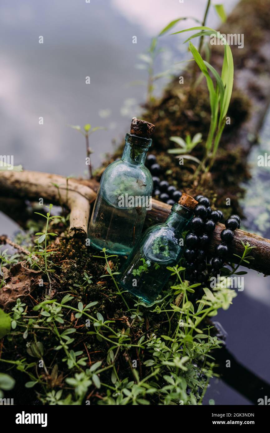 Le bottiglie di vetro sono riempite con ingredienti magici, elisir. Foresta misteriosa. Foto Stock