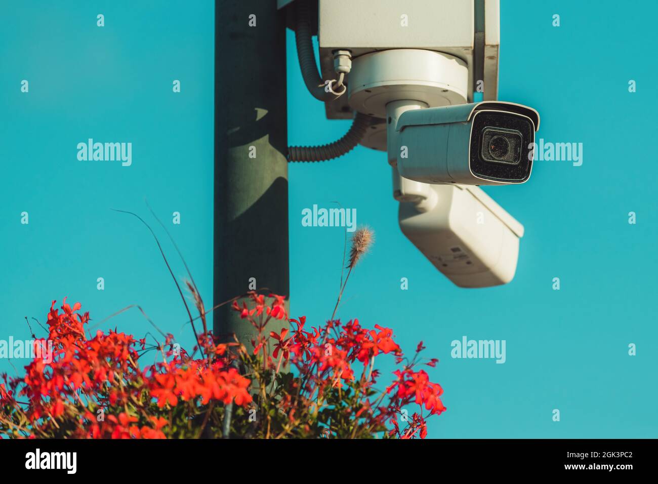Telecamere di sicurezza CCTV a piazza posta decorata con alcuni fiori, fuoco selettivo Foto Stock