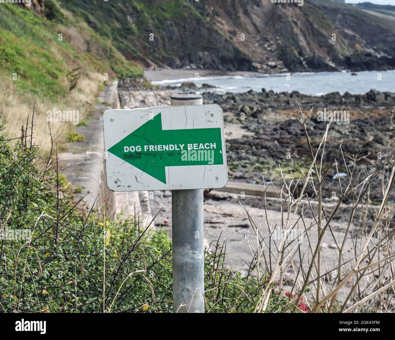 Cartello che indica una Dog friendly Beach a Portwrinkle sulla penisola di Rame in Cornovaglia. In realtà il segno punta verso l'interno. Foto Stock