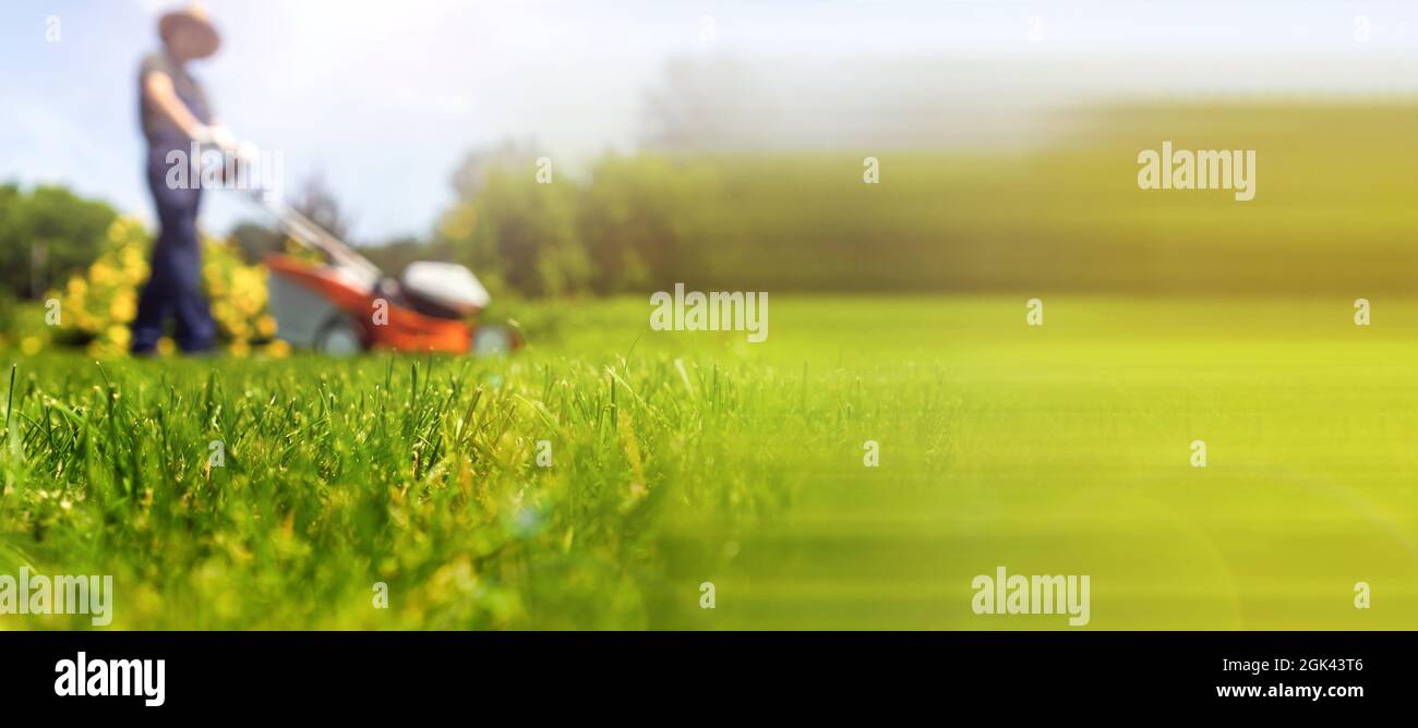 Un giardiniere professionista con un rasaerba si prende cura dell'erba nel cortile. Foto Stock