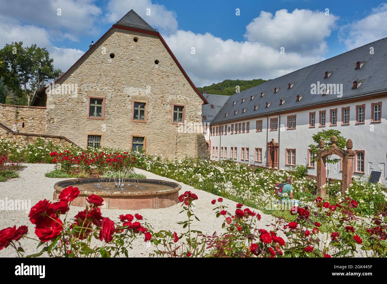 Kloster Eberbach, Prälatengarten, Brunnen, Rosengarten, nahe Eltville am Rhein, Rheingau, Hessen, Deutschland Foto Stock