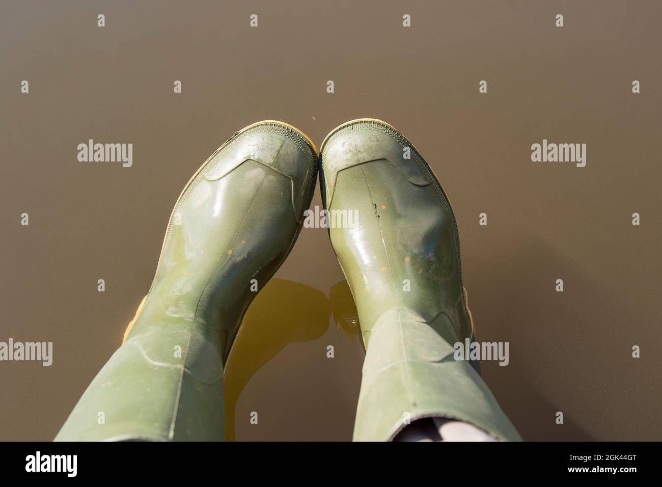 Guardando verso il basso i piedi della persona che indossa un paio di stivali wellington verdi su acqua torbida. Foto Stock