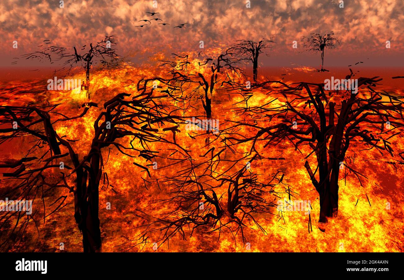 Incendio boschivo Foto Stock