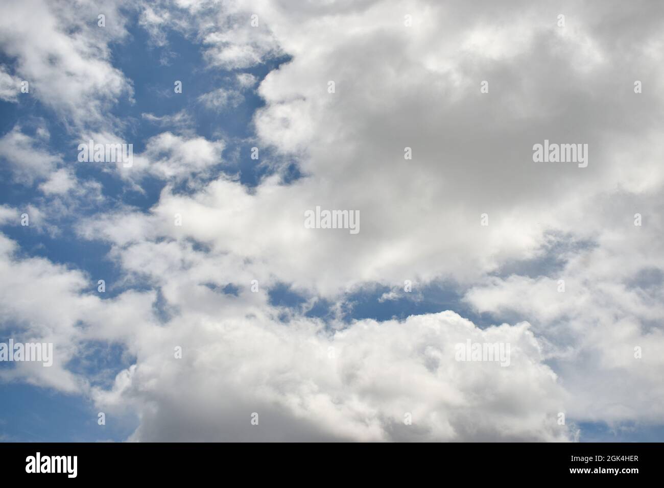 Cielo blu, nuvole bianche di cumulo puffy, cieli, meteorologia, sfondo meteo Foto Stock