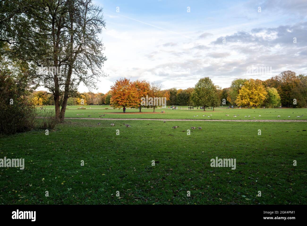 Parco Englischen Garten in autunno - Monaco, Baviera, Germania Foto Stock