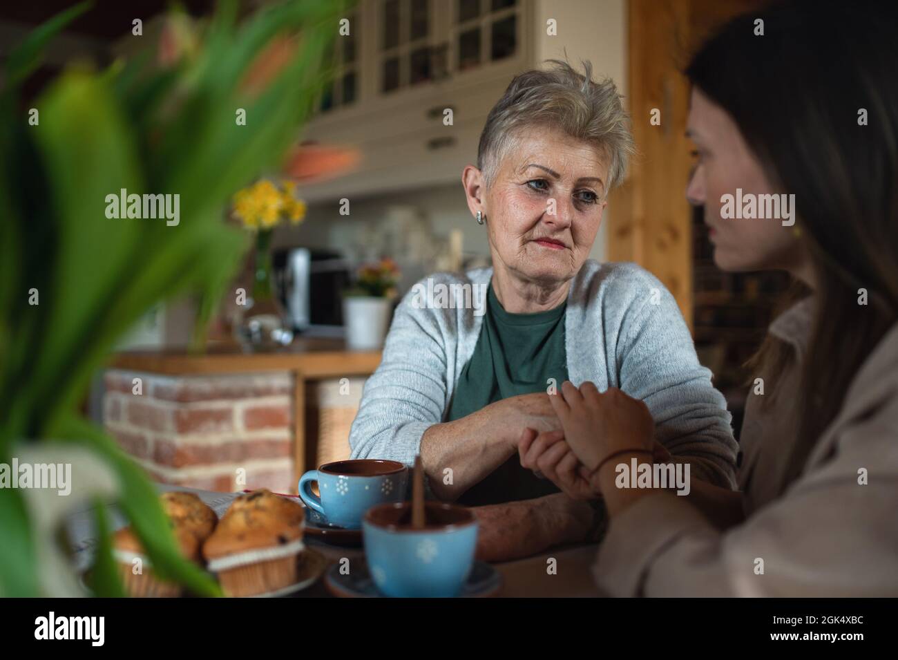 Triste madre anziana che ha il tè con la figlia adulta in casa, parlando. Foto Stock