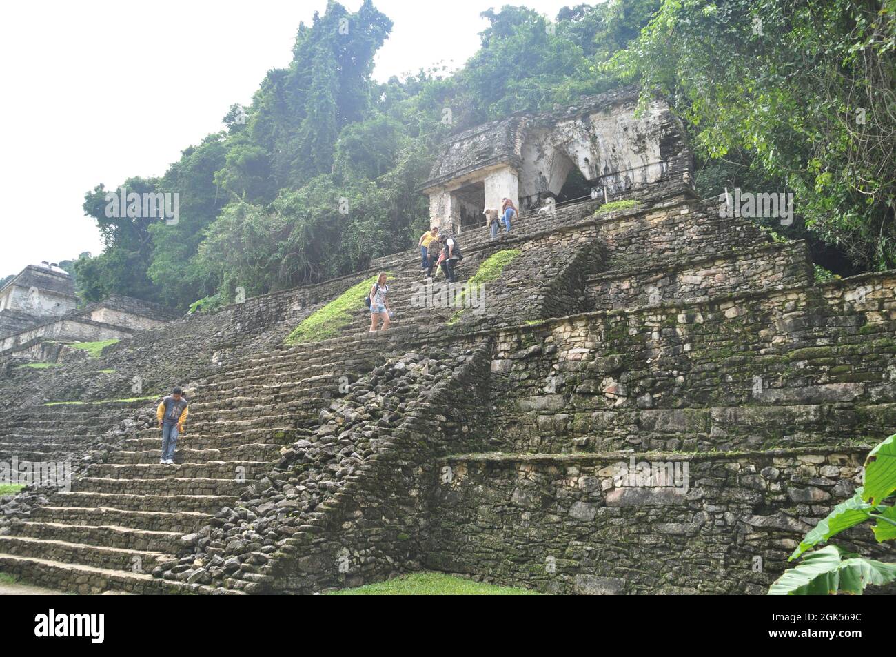 Tempio nella vecchia città Maya di Palenque, Messico. Foto Stock