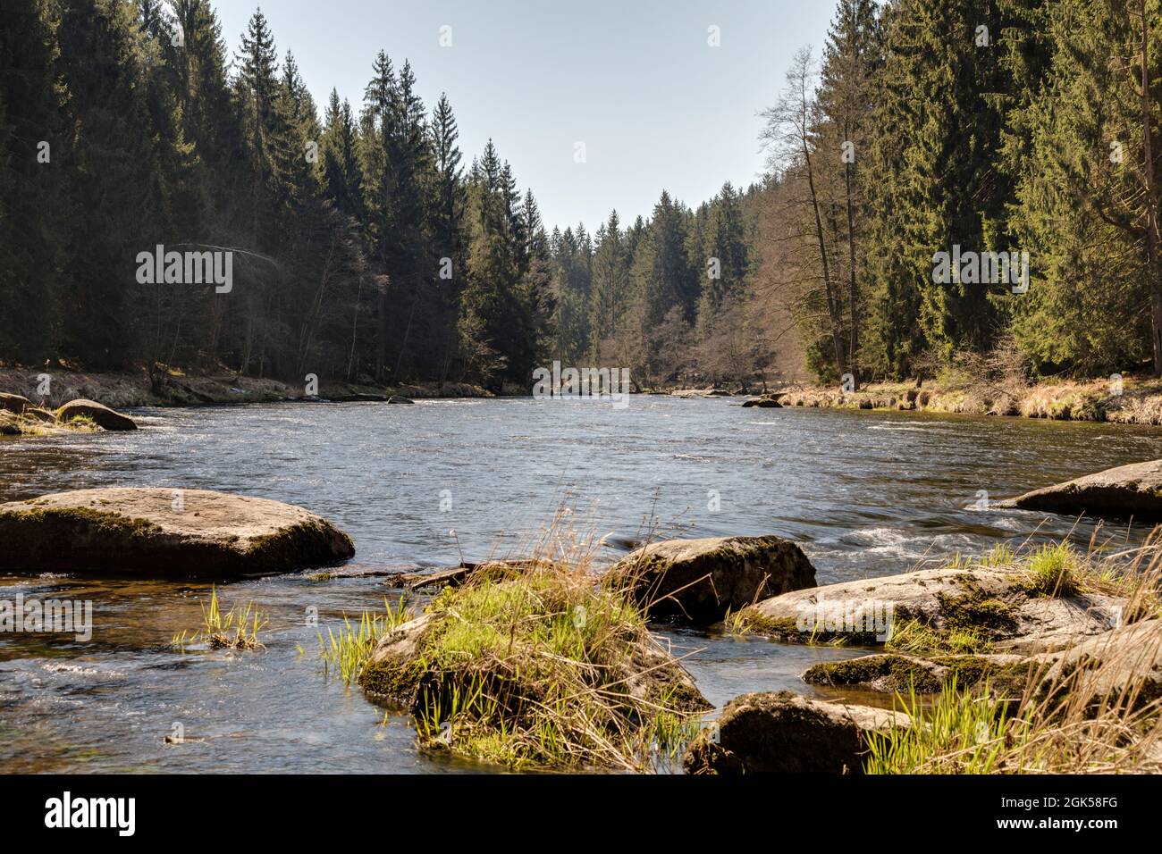 Schwarzer Regen Foto Stock