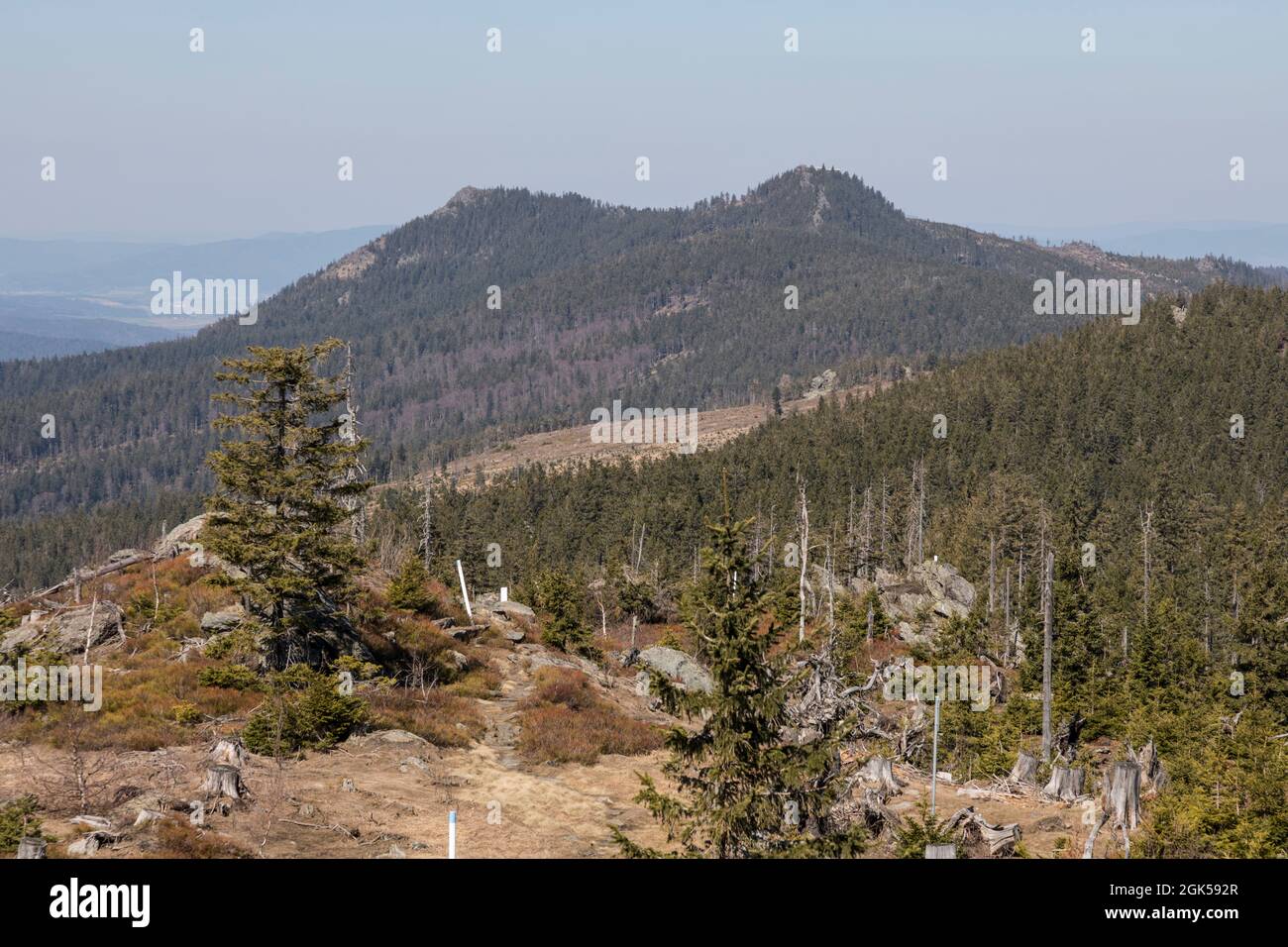 Wanderung von Zwercheck zum Grossen Osser Foto Stock