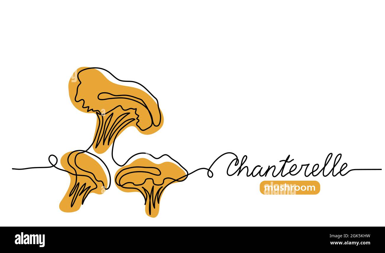 Chanterelle funghi selvatici semplice illustrazione vettoriale. Disegno artistico a linea singola con fungo di chanterelle con caratteri Illustrazione Vettoriale