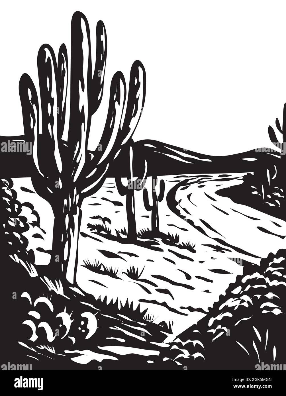 WPA Art Saguaro National Park Grayscale Bianco e nero Foto Stock