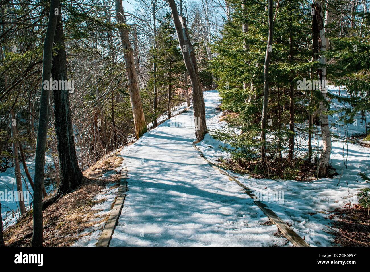 escursioni sul sentiero trans canada in inverno sul parco shubie sezione lungo il lago charles Foto Stock