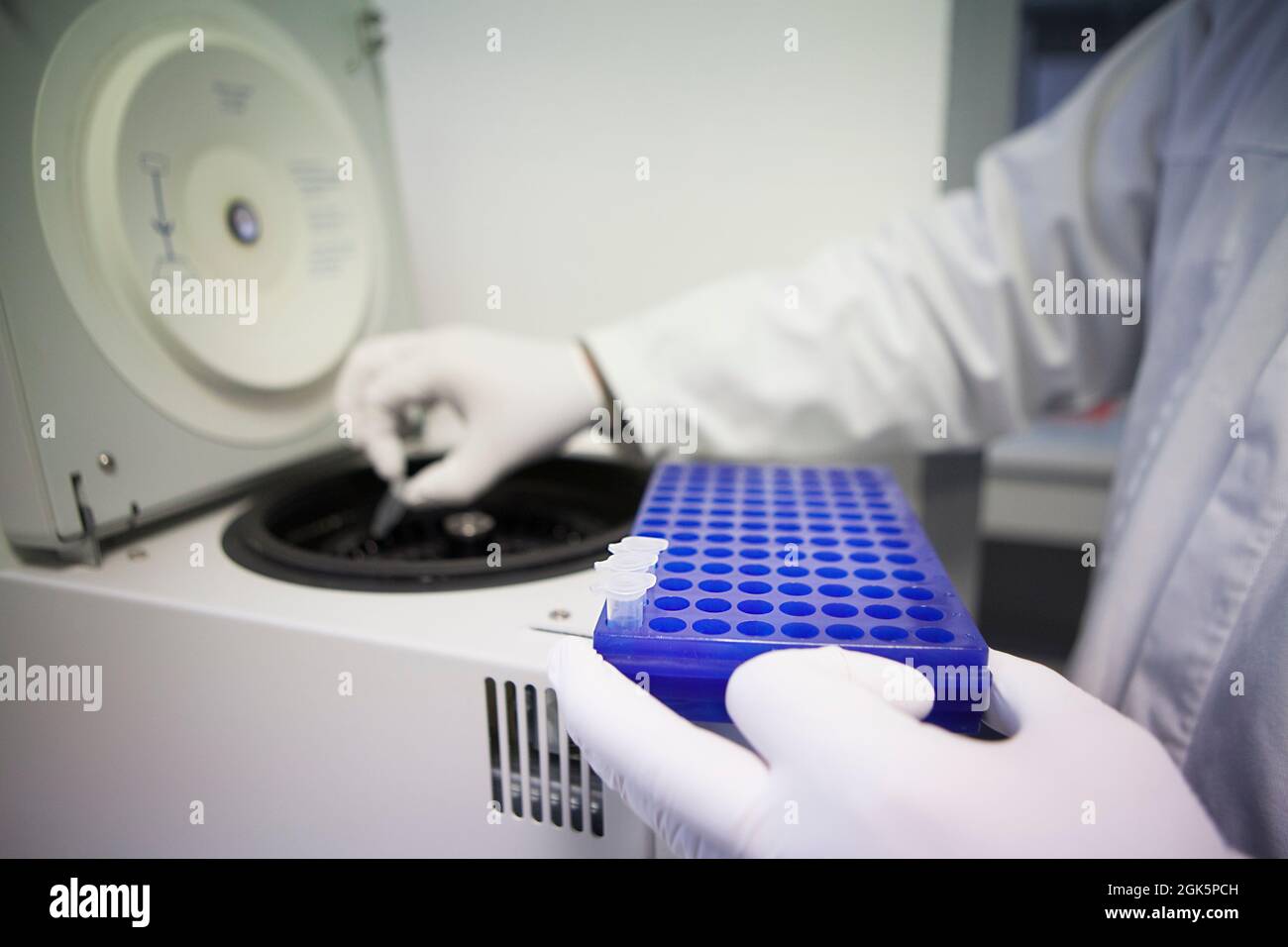 Analisi di laboratorio e risultati per testare l'efficacia di un vaccino contro l'AIDS. Foto Stock