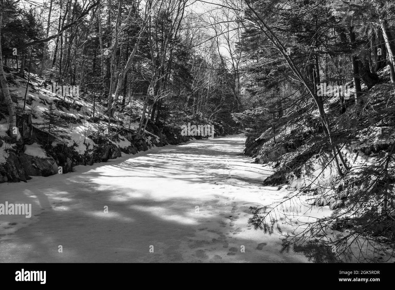 Congelato sul canale di Shubenacadie nel bel mezzo dell'inverno Foto Stock