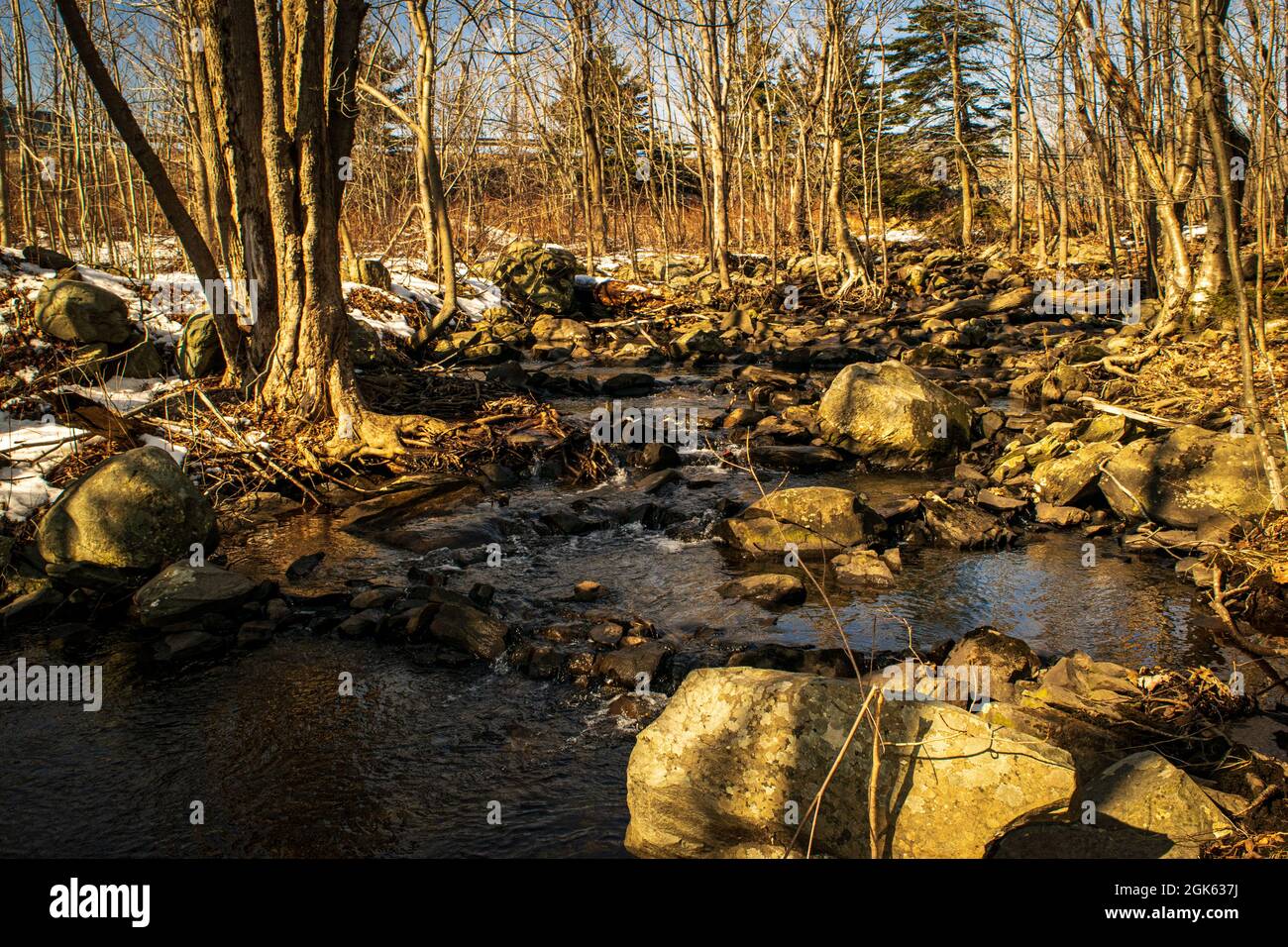 Grassy Brook Foto Stock