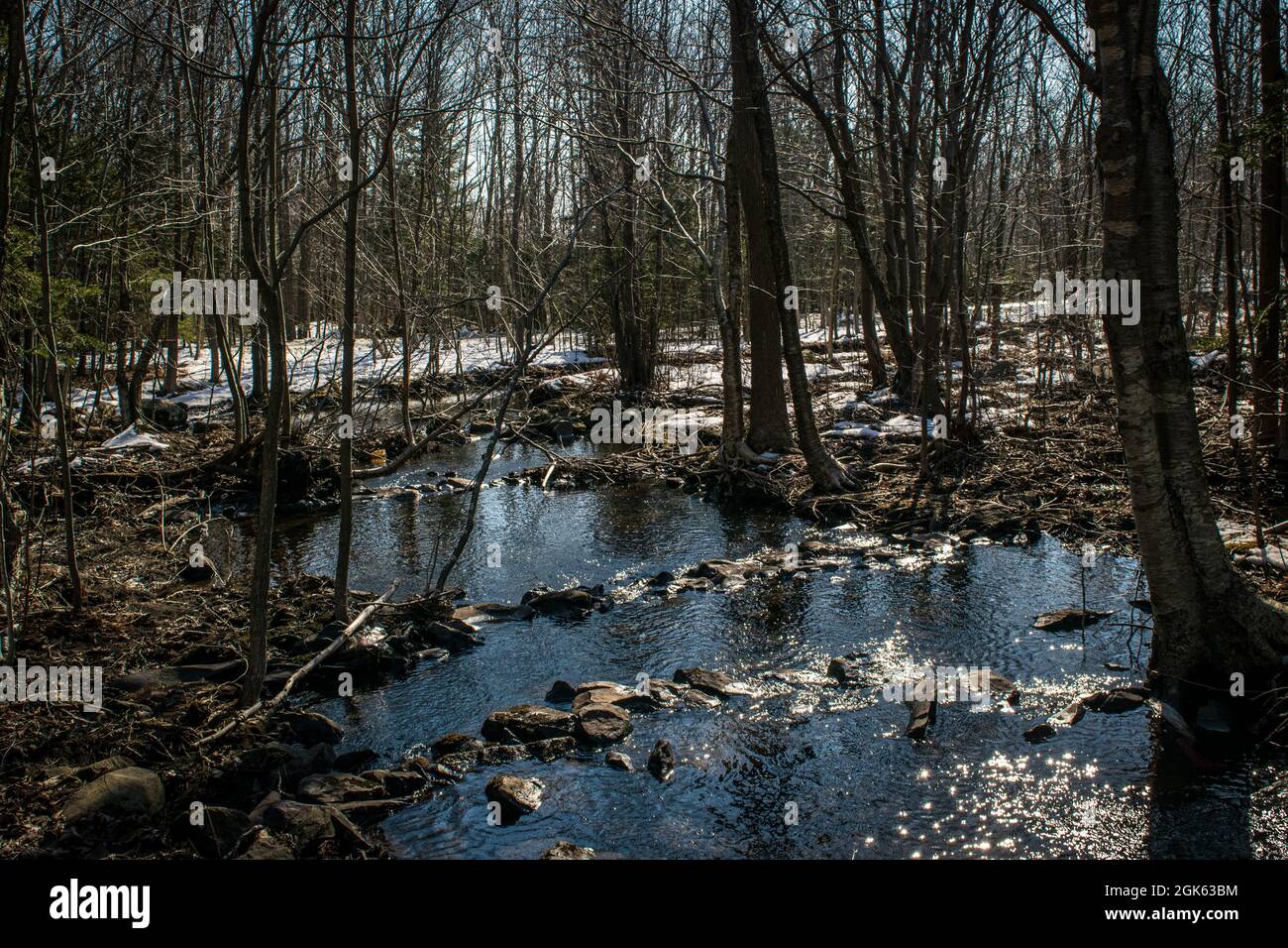 Grassy Brook Foto Stock