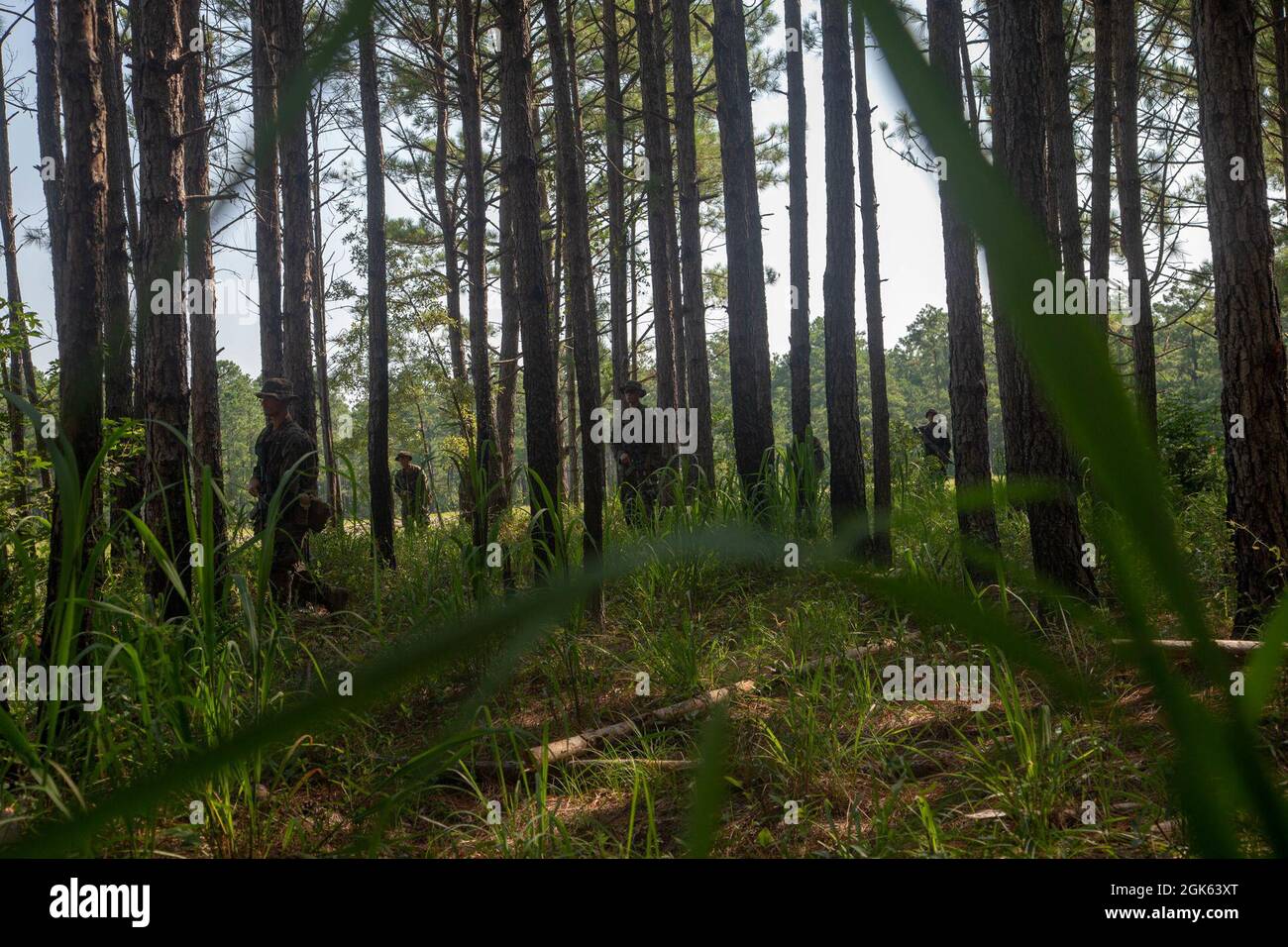 La U.S. Marine Corps School of Infantry-East students conduce una pattuglia di sicurezza durante il corso marino di fanteria (IMC) sul Marine Corps base Camp Lejeune, North Carolina, 12 agosto 2021. L'IMC è un programma di istruzione di 14 settimane progettato per creare marines di fanteria più esperte e più letali che sono preparati per la competizione e il conflitto del XXI secolo. Foto Stock