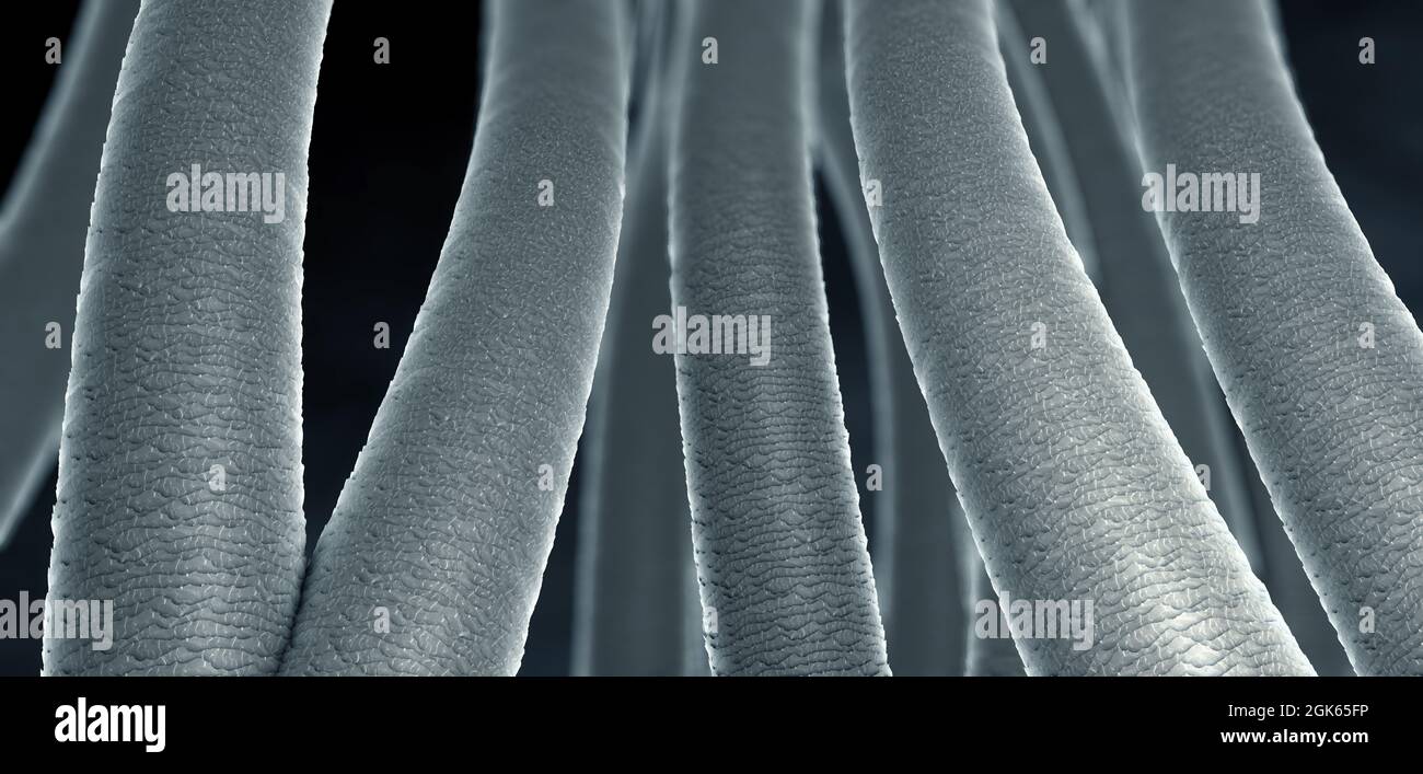 Primo piano sulla superficie dei capelli - illustrazione 3d Foto Stock