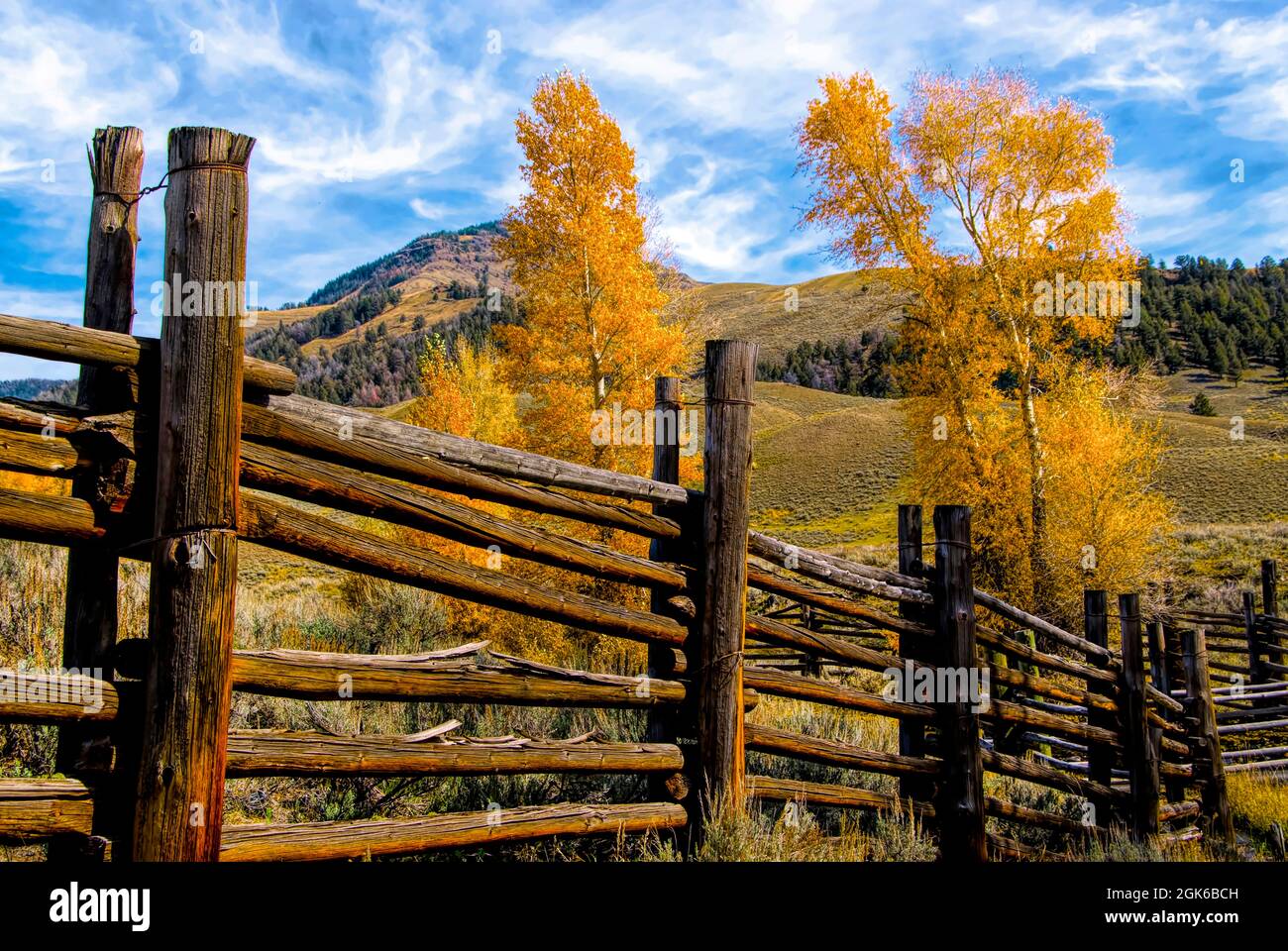 Parco Nazionale di Yellowstone in autunno con Aspens a colori Foto Stock