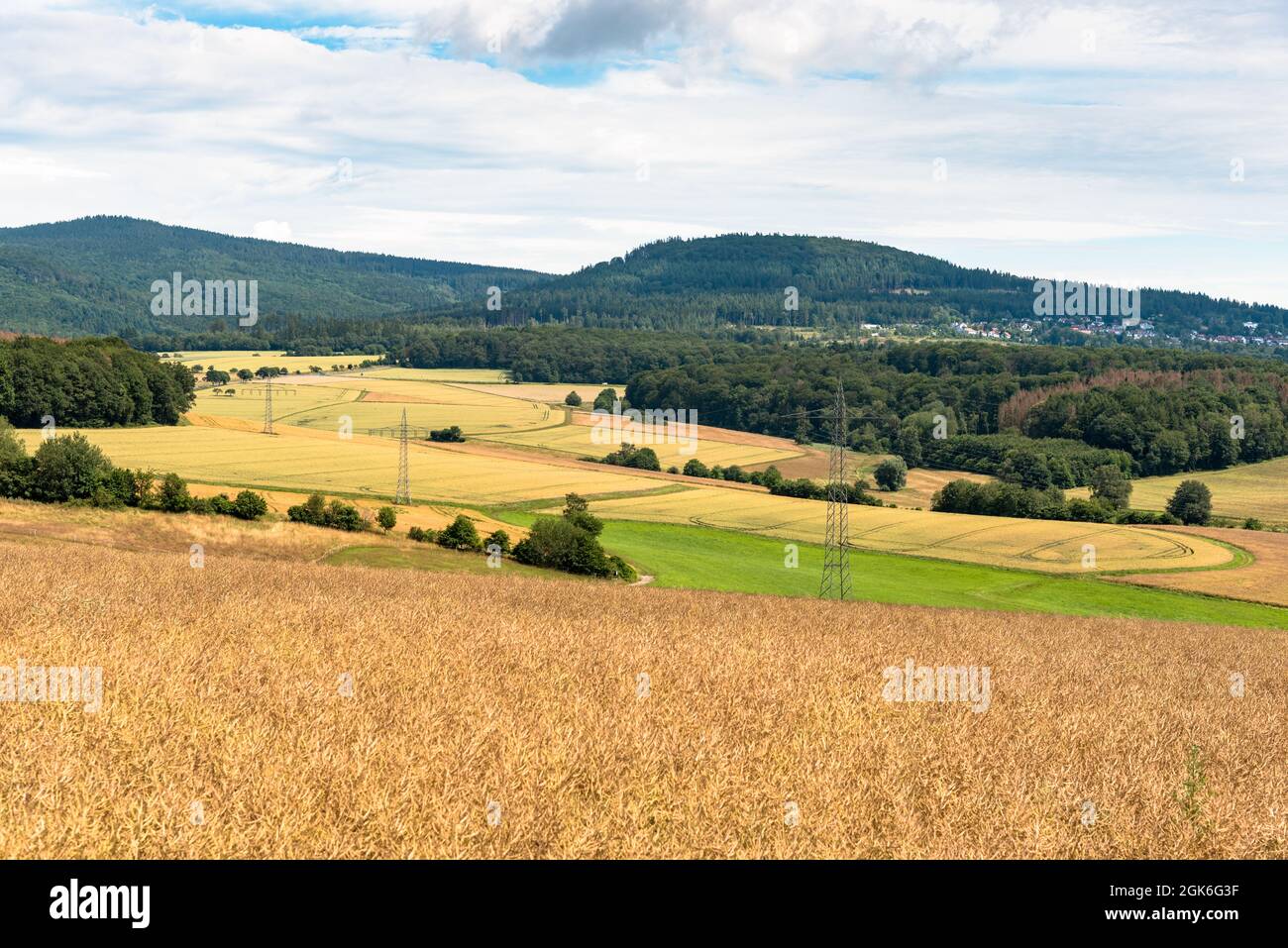 Paesaggio rurale ondulato con colline boscose sullo sfondo in una giornata estiva poco nuvolosa. Le linee elettriche attraversano i campi coltivati. Foto Stock