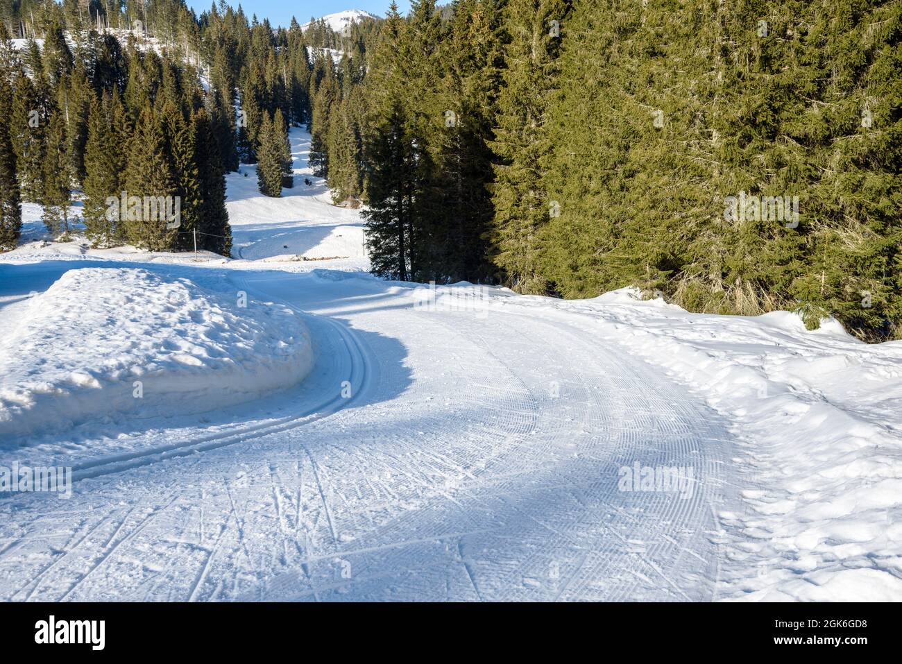 Deserta e tortuosa pista da sci di fondo attraverso una foresta delle Alpi in una soleggiata giornata invernale Foto Stock