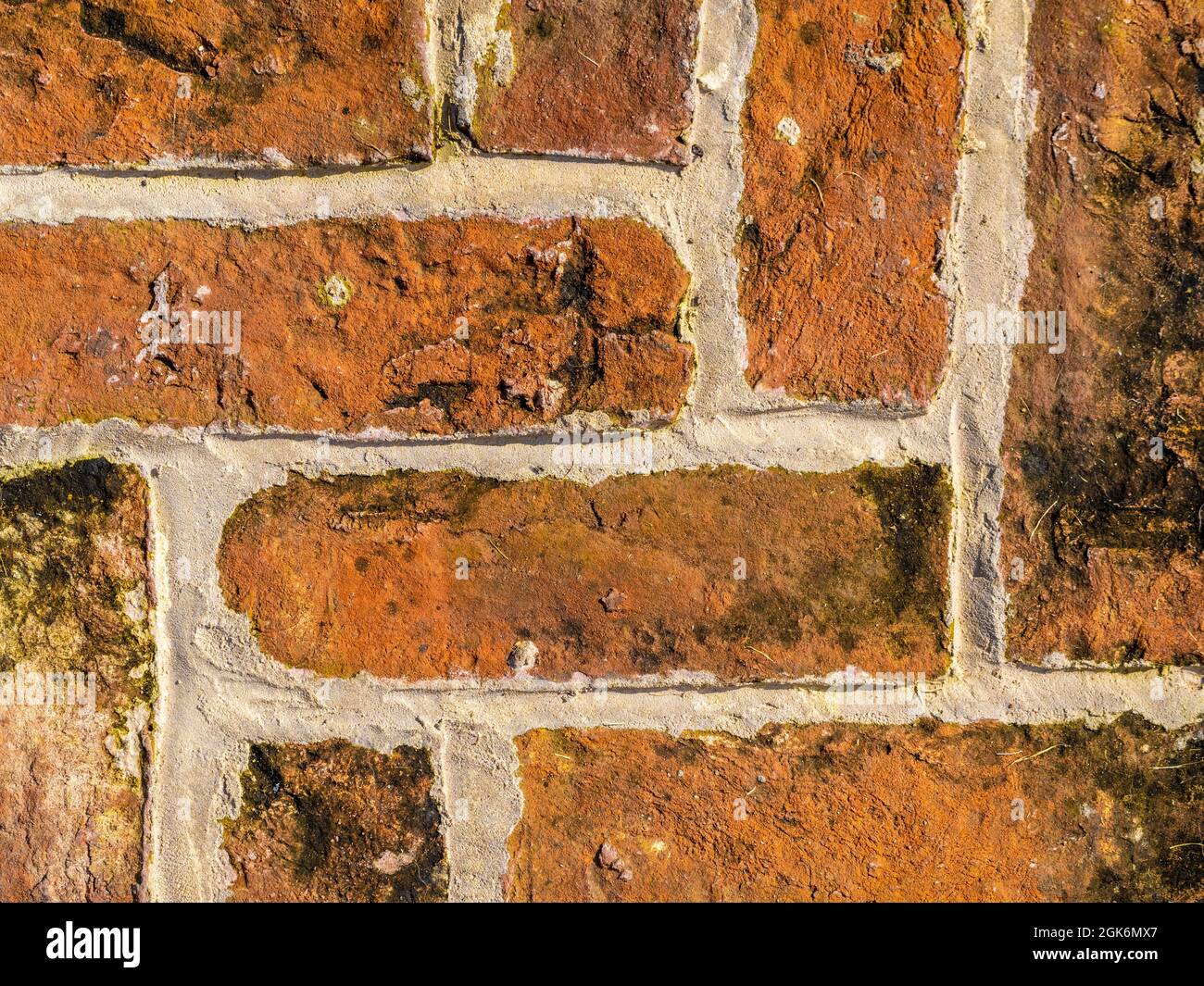Pavimentazione di mattone posata in un modello di herringbone usando mattoni rigenerati. Foto Stock