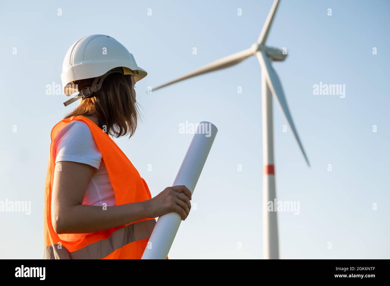 Ingegnere in elmetto e giubbotto di protezione detiene un progetto di progetto per la costruzione di turbine eoliche nel campo sullo sfondo di mulini a vento Foto Stock