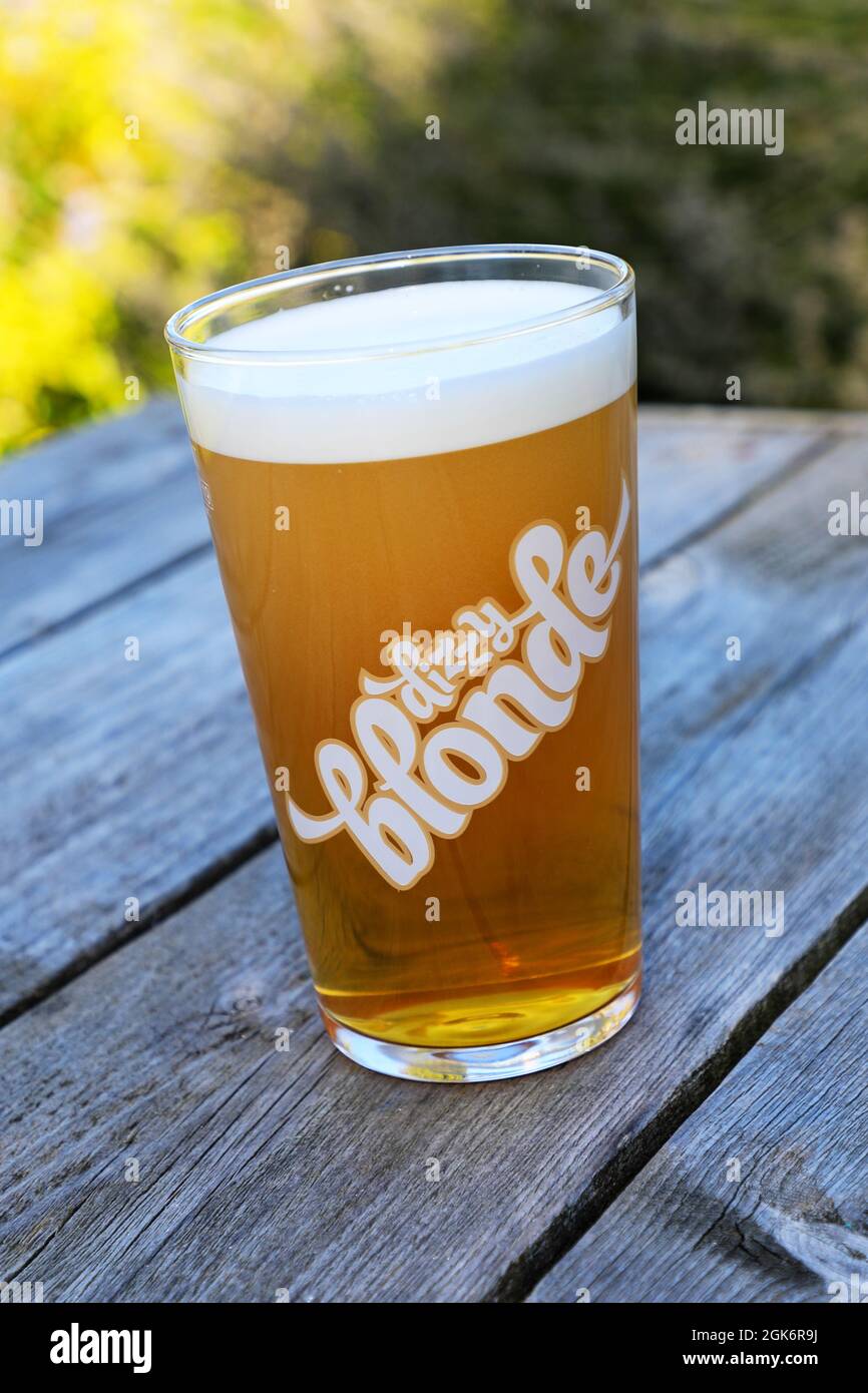 Un bicchiere di pinta della birra 'Dizzy Blonde' Amarillo pale Ale di Robinson, Inghilterra, Regno Unito Foto Stock
