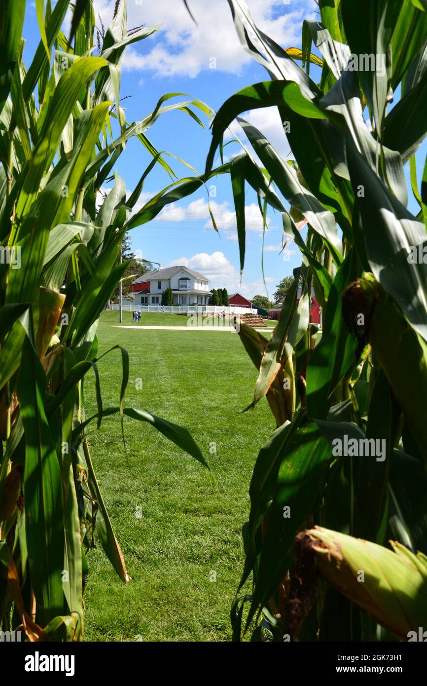 Guardando attraverso l'Outfield corn il ° diamante di baseball al set di film ex Field of Dreams a Dyersville, Iowa. Foto Stock