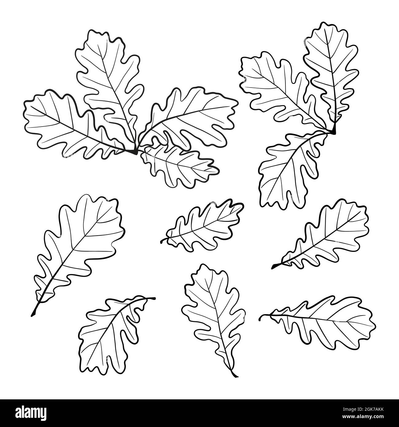 Una serie di disegni di foglie di quercia in stile doodle. Vettore. Un elemento di design per la tua creatività Illustrazione Vettoriale