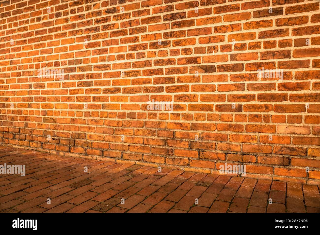 Immagine grunge di solido muro di mattoni e pavimento per sfondo Foto Stock