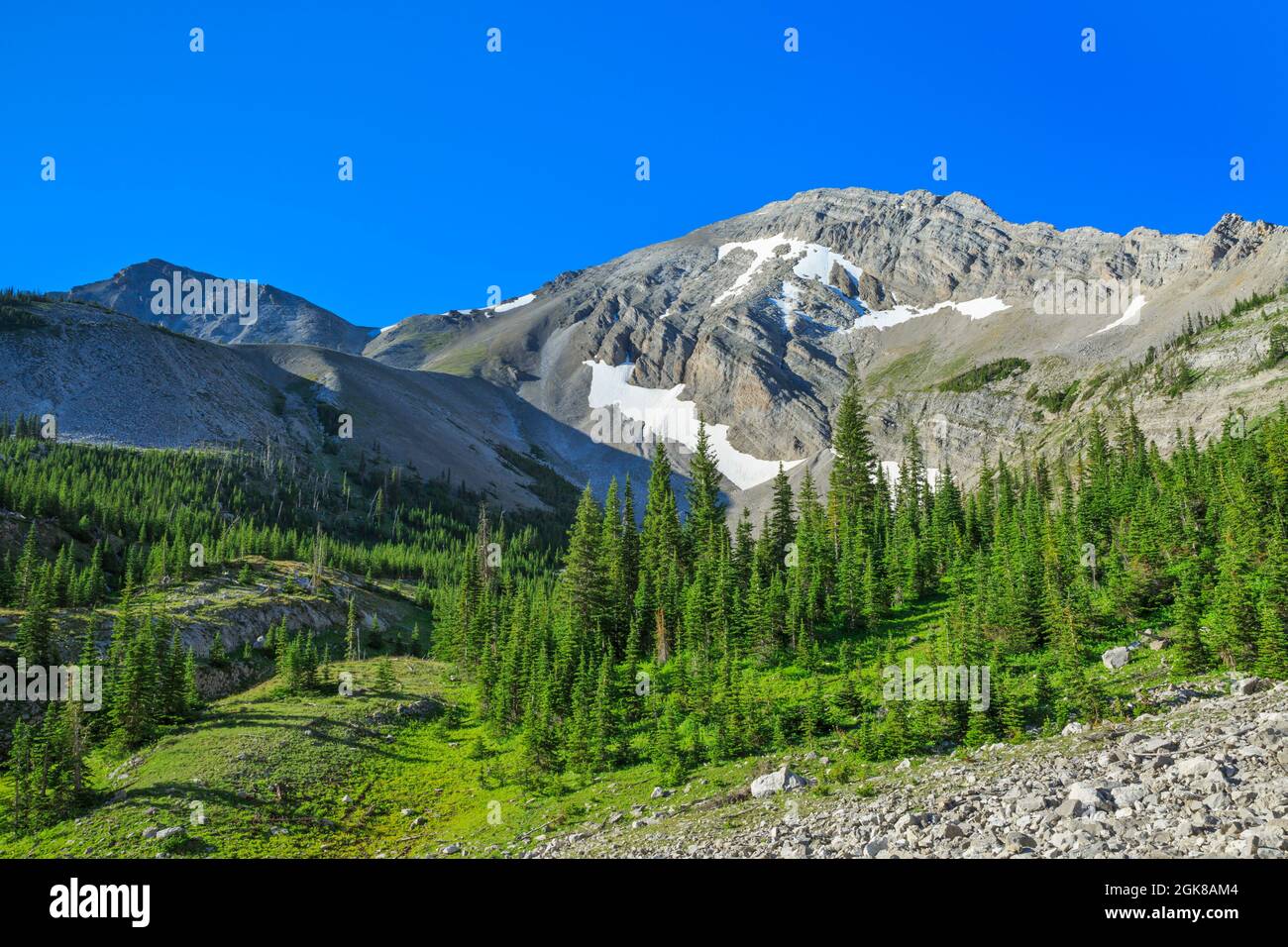 cima rocciosa di montagna lungo il fronte roccioso di montagna vicino al torrente sede del passo nella foresta nazionale di lewis e clark vicino choteau, montana Foto Stock