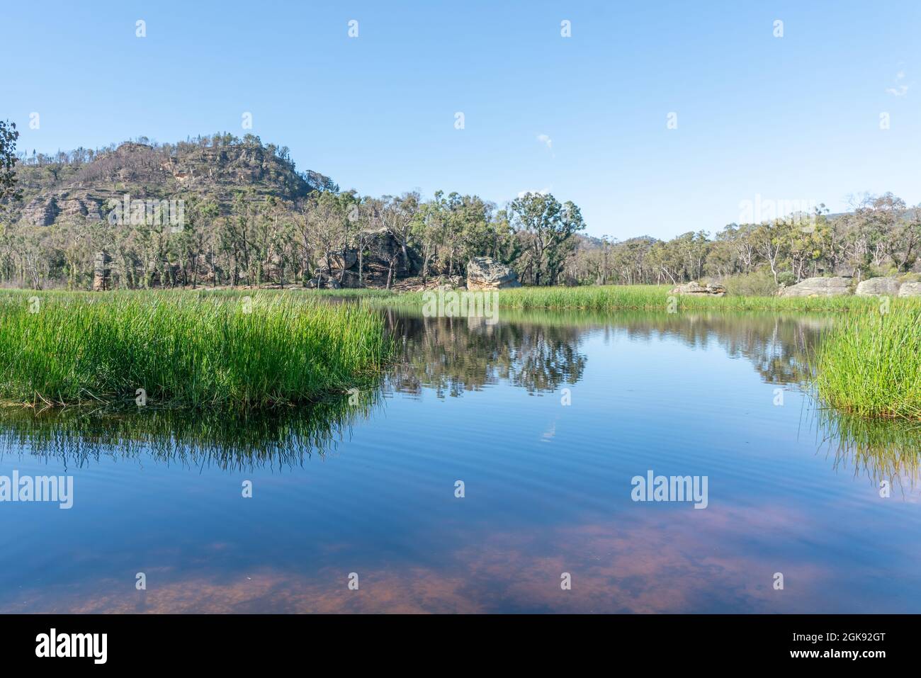 riflessi a dunns palude, o ganguddy- una bella, serena via d'acqua nel parco nazionale di wollemi Foto Stock
