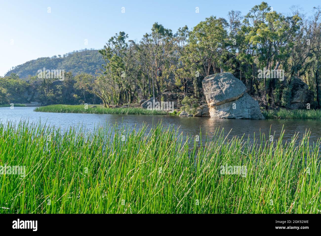 dunns swamp, o ganguddy, una splendida e serena via d'acqua nel parco nazionale di wollemi Foto Stock
