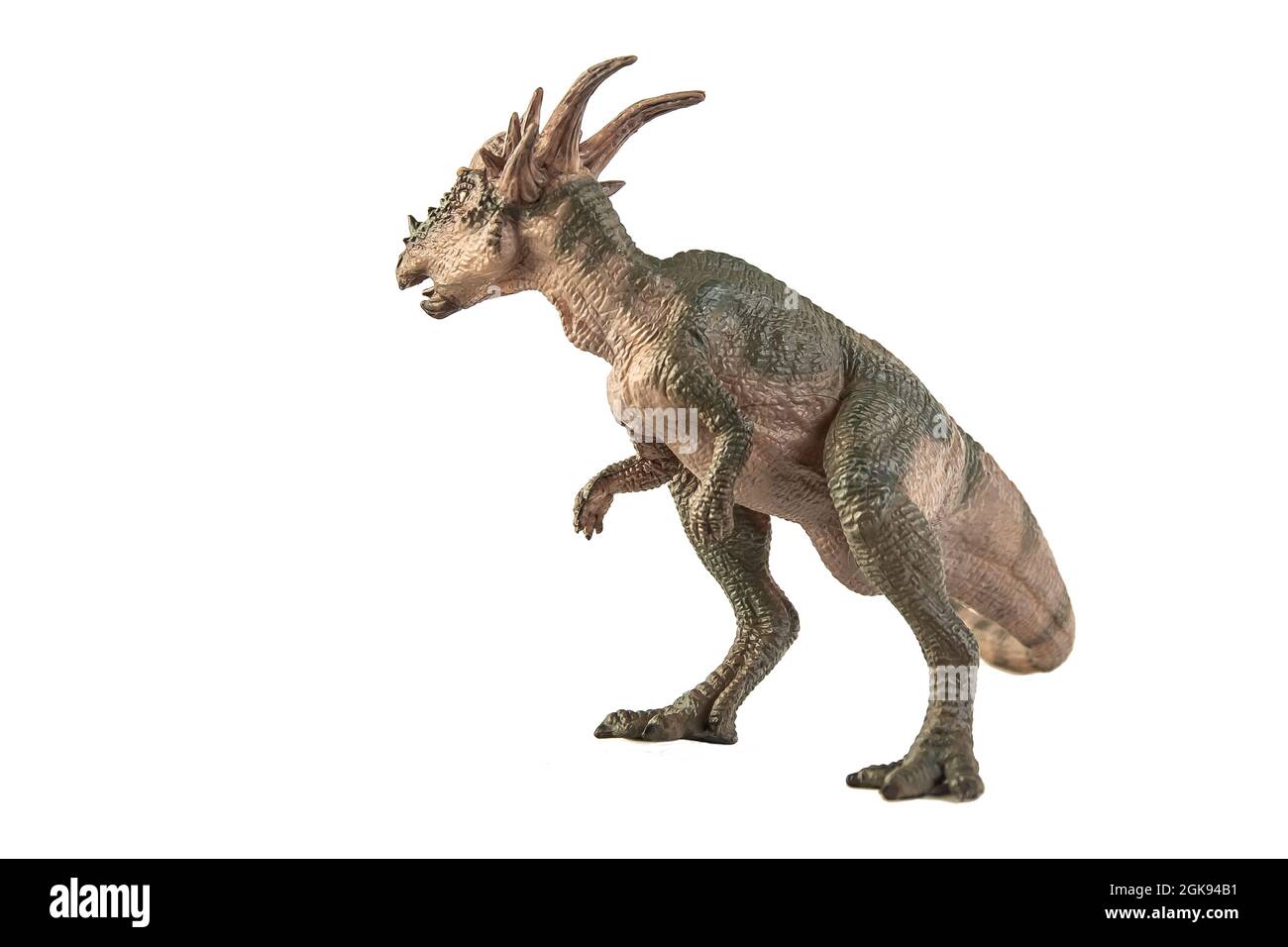 Dinosauro Stygimoloch su sfondo bianco . Foto Stock