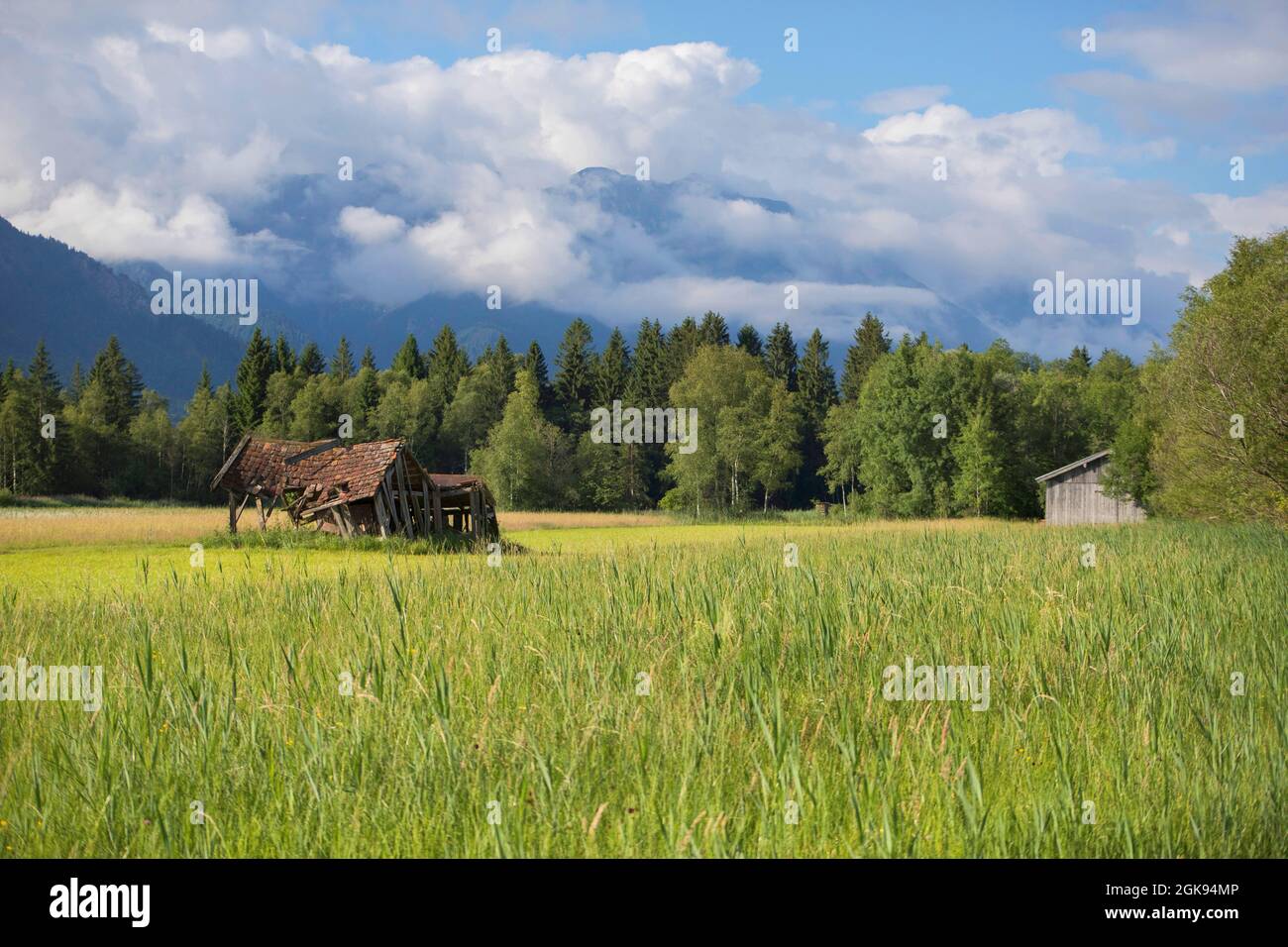 Murnauer Moos, in Germania, in Baviera Foto Stock