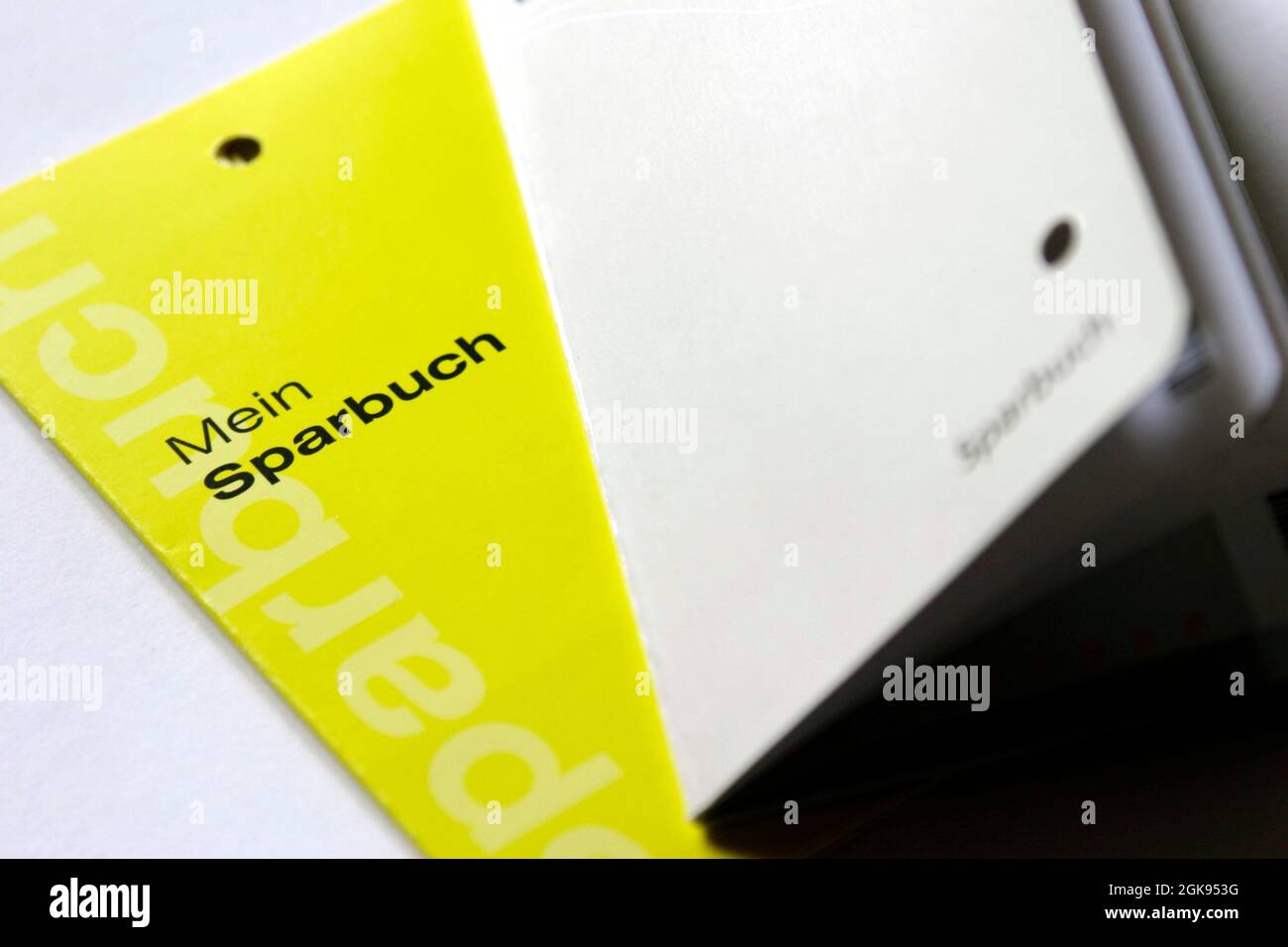 Aprire un libro di risparmio con il consulente, Austria Foto Stock