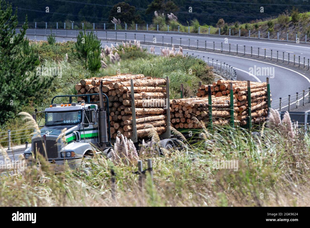 Camion di tronchi su strada in Nuova Zelanda Foto Stock