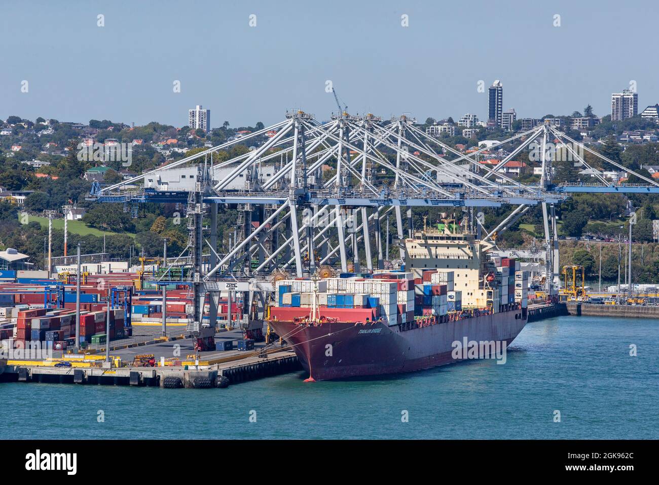 Autogru che scaricano una nave al Porto di Auckland, Nuova Zelanda Foto Stock