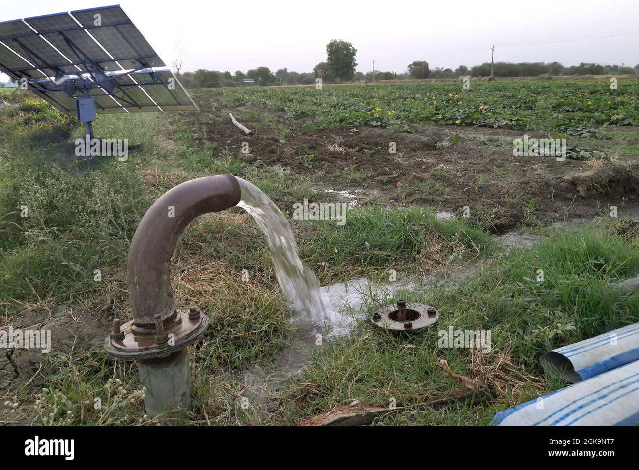 Attrezzature agricole per l'irrigazione di campi, getto d'acqua, dietro il quale è pannello solare, irrigato in campo vegetale verde da getto d'acqua, irri tecnico Foto Stock