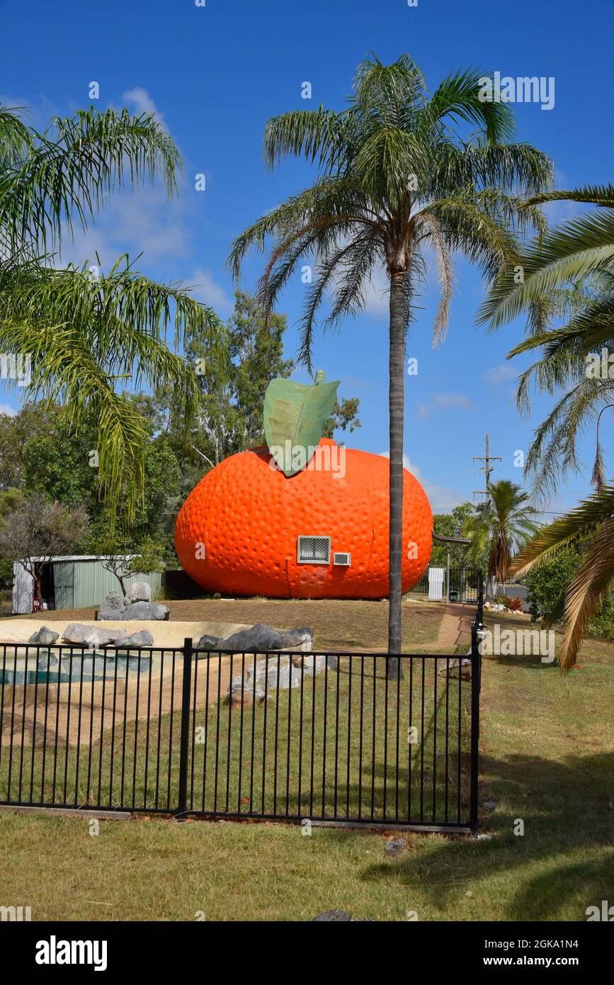 Il Big Mandarin a Mundubbera, nella regione del Burnett settentrionale, Queensland è una scultura in vetroresina sovradimensionata di un mandarino Ellendale. Foto Stock