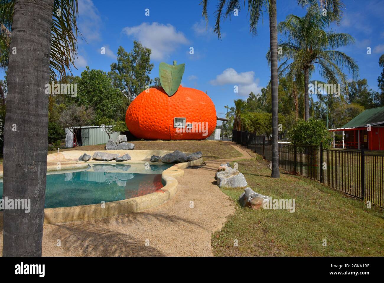Il Big Mandarin a Mundubbera, nella regione del Burnett settentrionale, Queensland è una scultura in vetroresina sovradimensionata di un mandarino Ellendale. Foto Stock