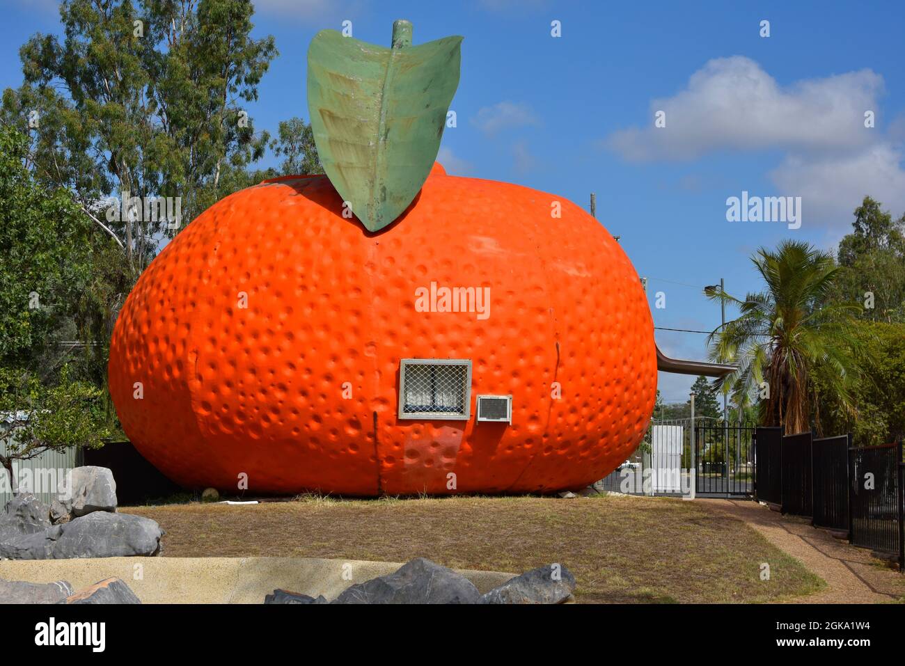 Il Big Mandarin a Mundubbera, nella regione del Burnett settentrionale, Queensland è una scultura in vetroresina sovradimensionata di un mandarino Ellendale. Foto Stock