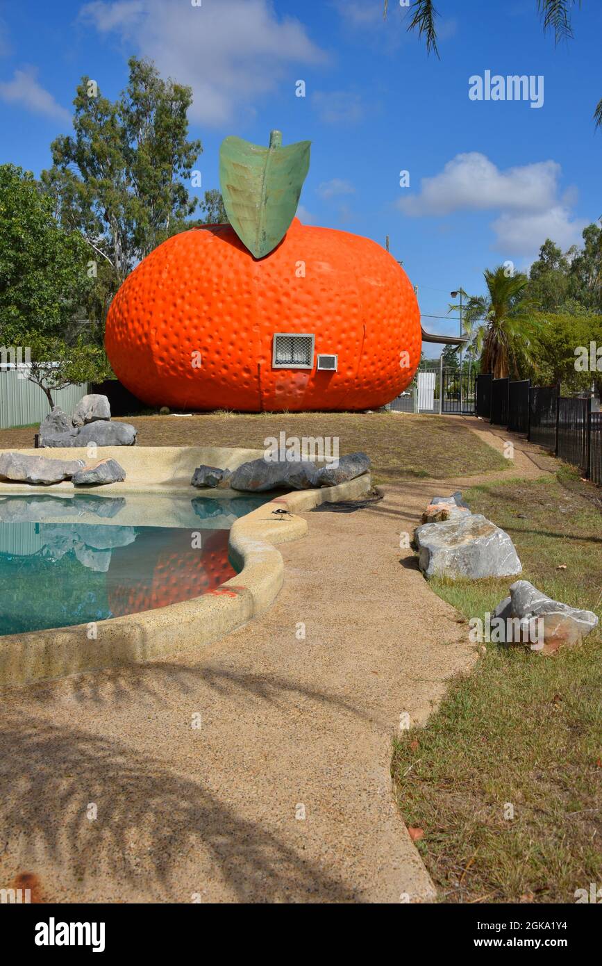 Il Big Mandarin a Mundubbera, nella regione del Burnett settentrionale, Queensland è una scultura in vetroresina sovradimensionata di un mandarino Ellendale. Foto Stock
