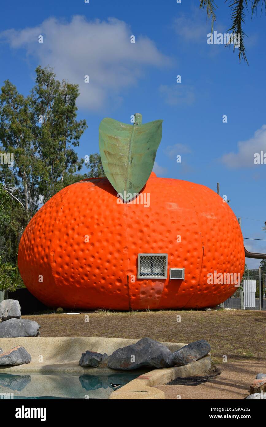 Il Big Mandarin a Mundubbera, nella regione del Burnett settentrionale, Queensland è una scultura in vetroresina sovradimensionata di un mandarino Ellendale. Foto Stock