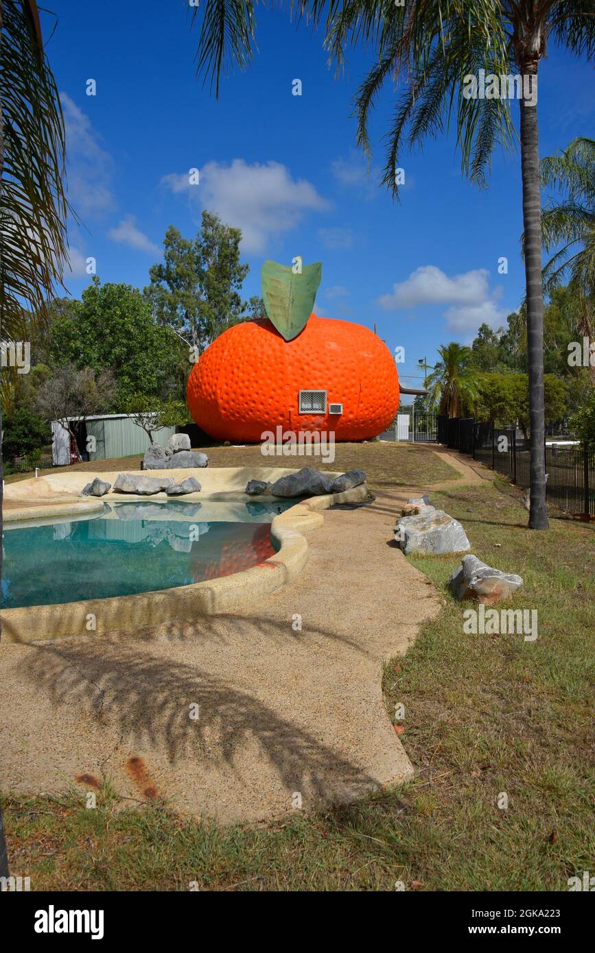 Il Big Mandarin a Mundubbera, nella regione del Burnett settentrionale, Queensland è una scultura in vetroresina sovradimensionata di un mandarino Ellendale. Foto Stock