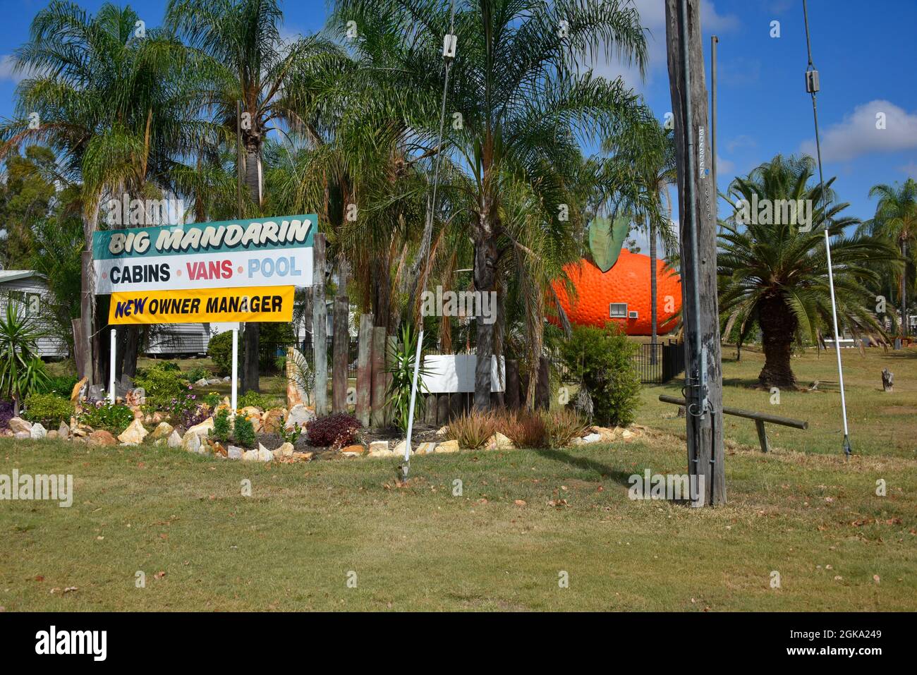 Il Big Mandarin a Mundubbera, nella regione del Burnett settentrionale, Queensland è una scultura in vetroresina sovradimensionata di un mandarino Ellendale. Foto Stock
